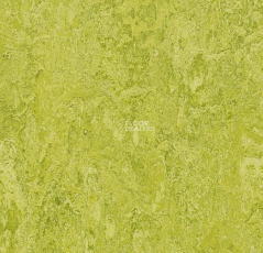 Forbo Marmoleum Marbled Authentic 3224 chartreuse фото 1 | FLOORDEALER